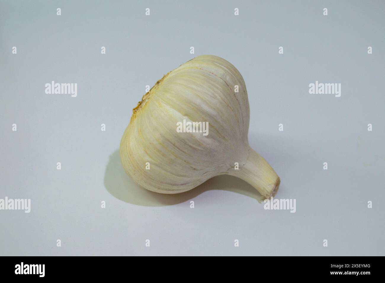 Whole fresh garlic, garlic heads Stock Photo