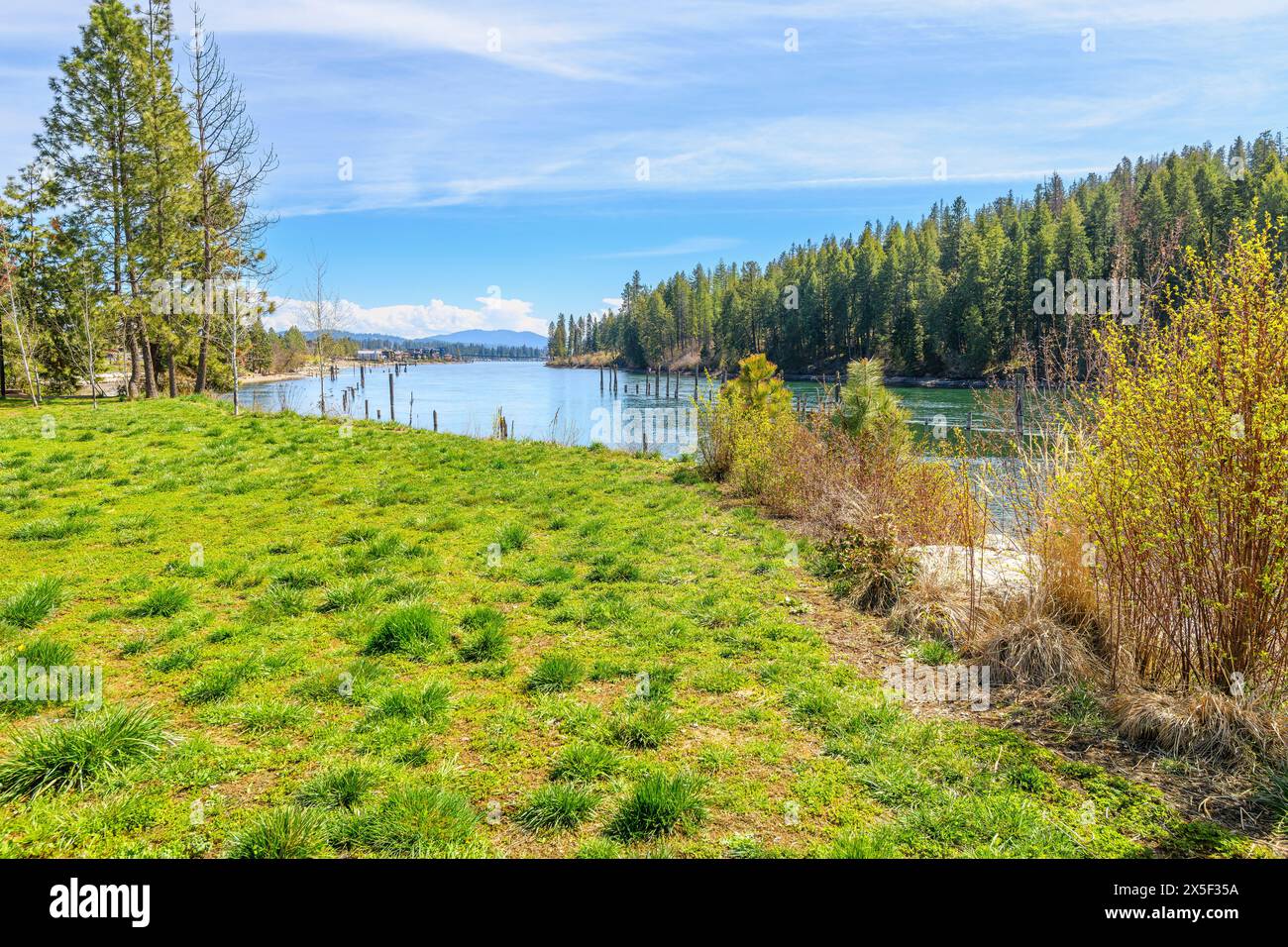 Riverbank view of the Spokane River as it runs through a rural forested area on it's way to the downtown district of Coeur d'Alene, Idaho USA. Stock Photo