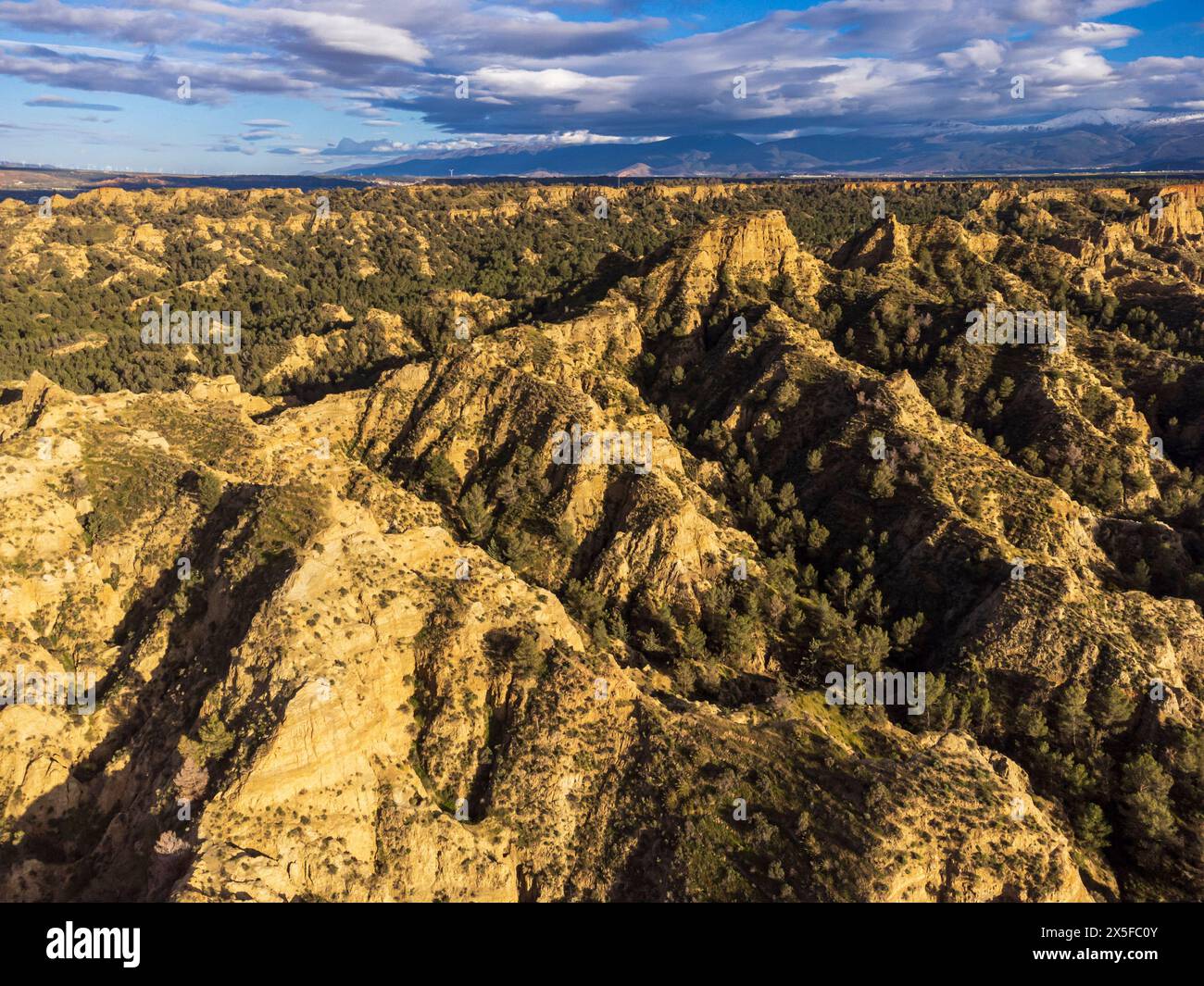 eroded badland near Purullena, Guadix region, Granada Geopark, UNESCO World Geopark, Betic Mountain Range, Andalusia, Spain Stock Photo