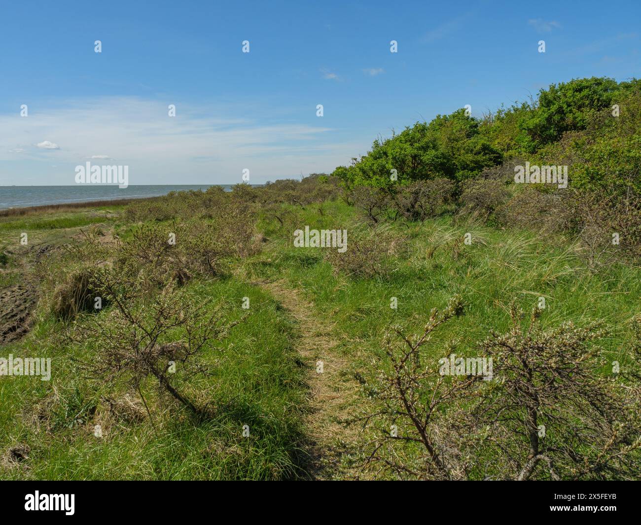 the island of Ameland in the north sea Stock Photo