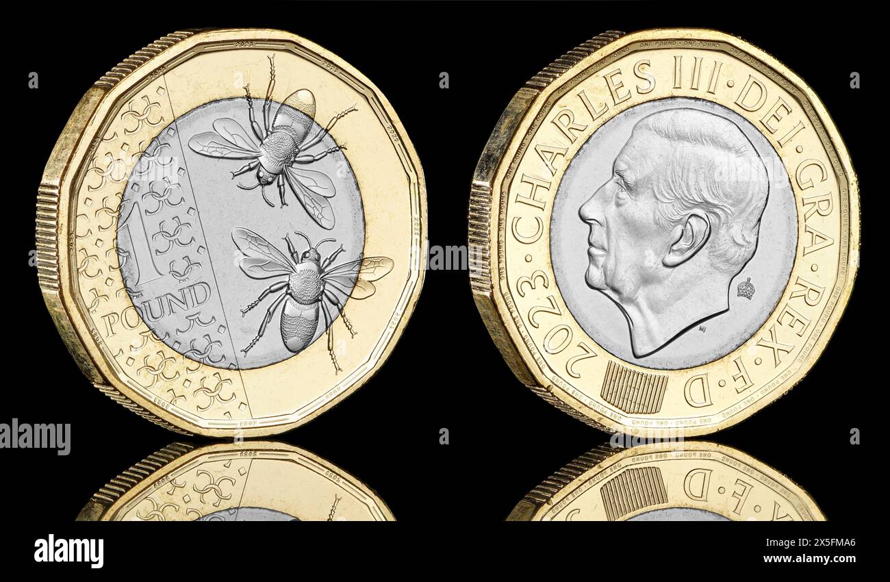 The first £1 coin to feature King Charles III. The reverse shows a pair of Bees and the obverse shows the first coin portrait of King Charles III Stock Photo