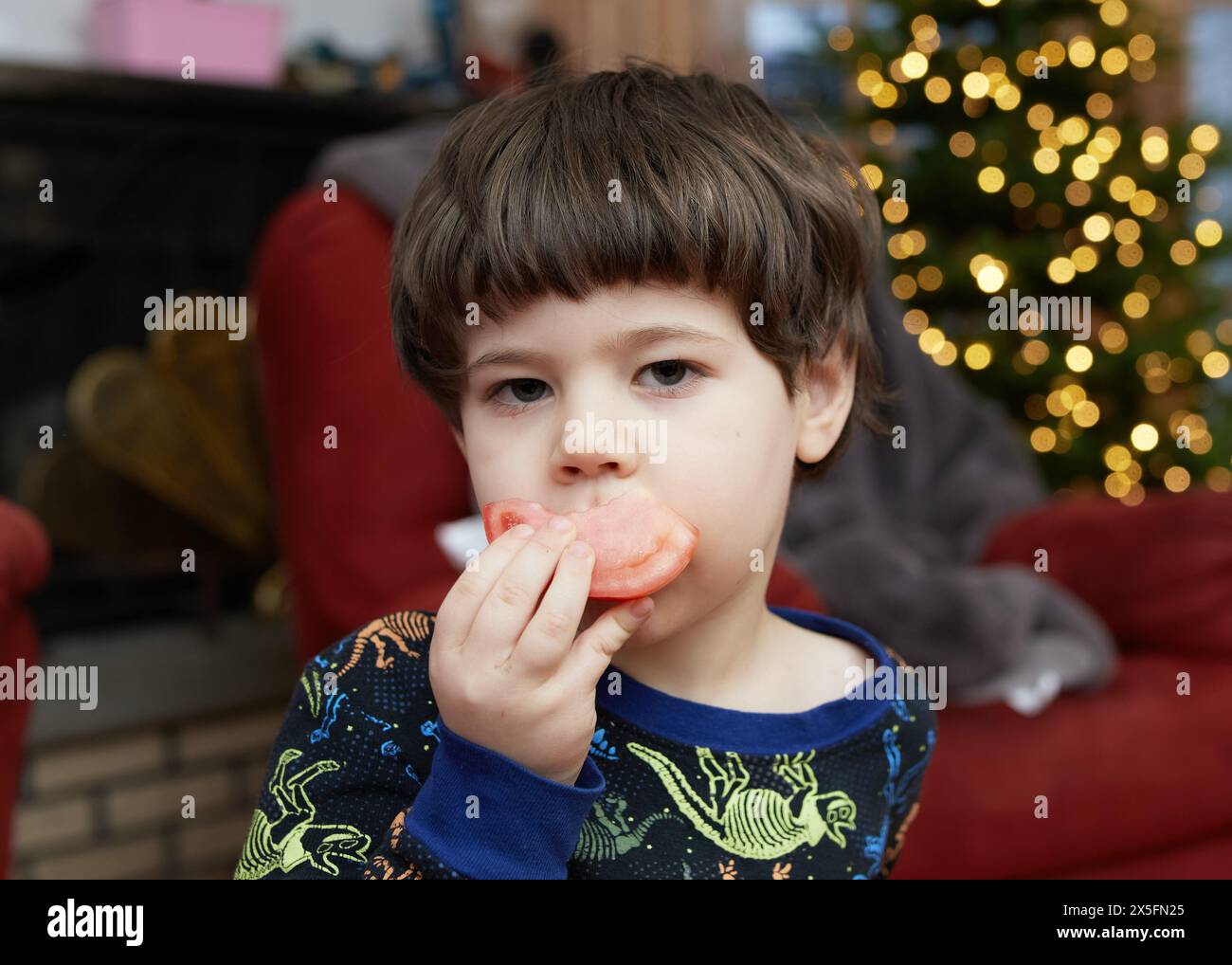 Expressive young boy is eating a tomato in front of a christmas tree in ...