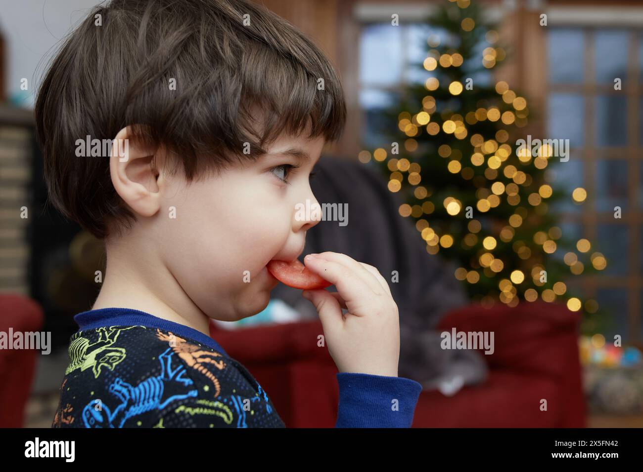 Expressive young boy is eating a tomato in front of a christmas tree in ...