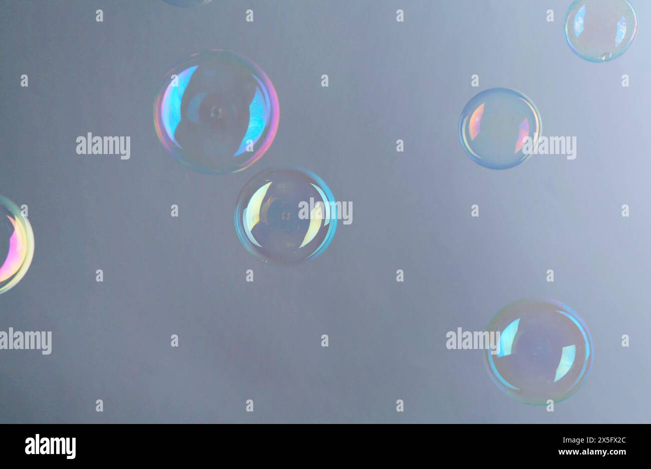 Beautiful transparent soap bubbles on gray background Stock Photo - Alamy