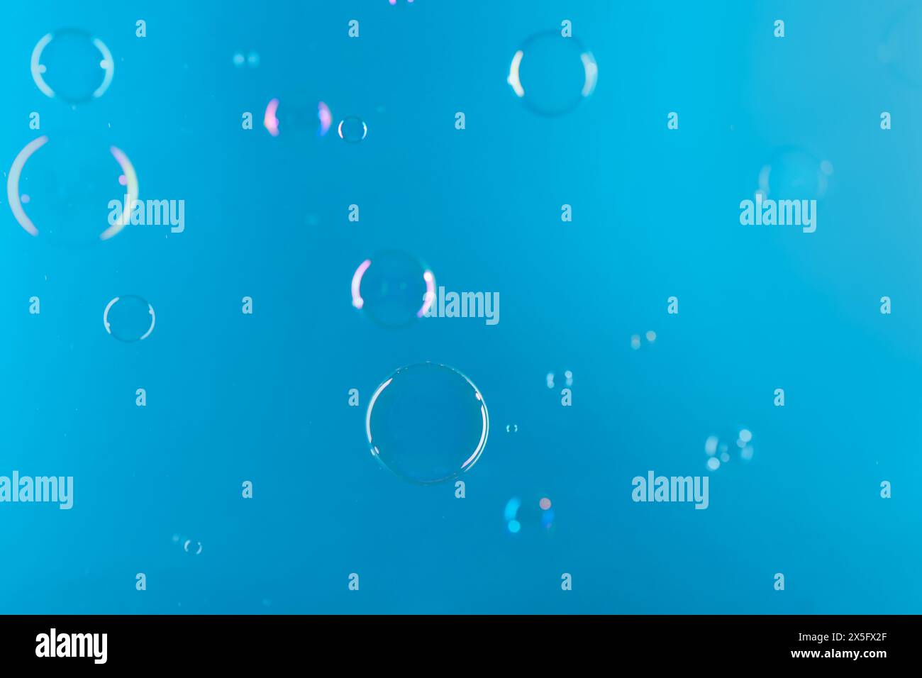Beautiful transparent soap bubbles on light blue background Stock Photo ...