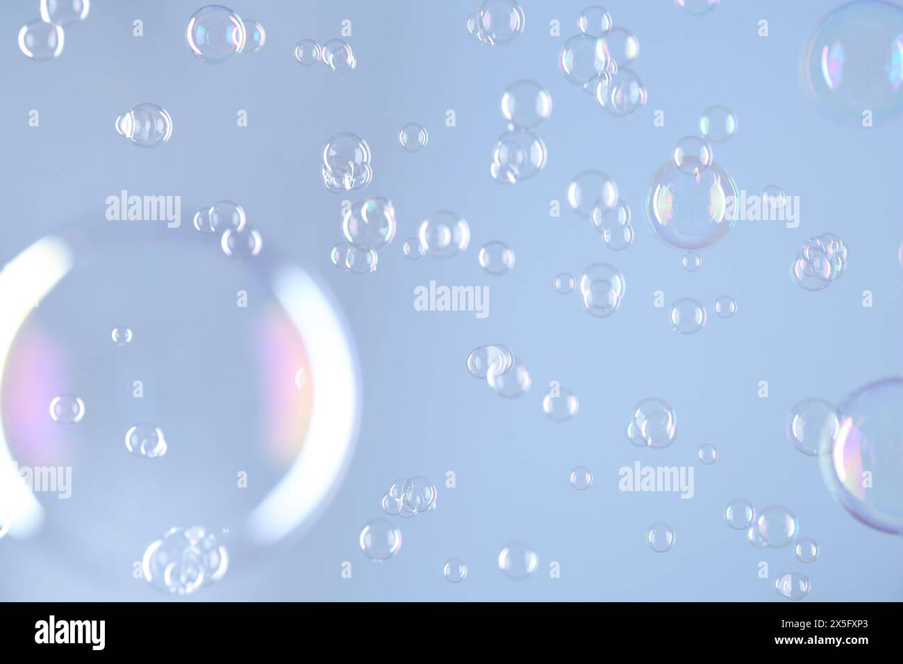 Beautiful transparent soap bubbles on light grey background Stock Photo ...