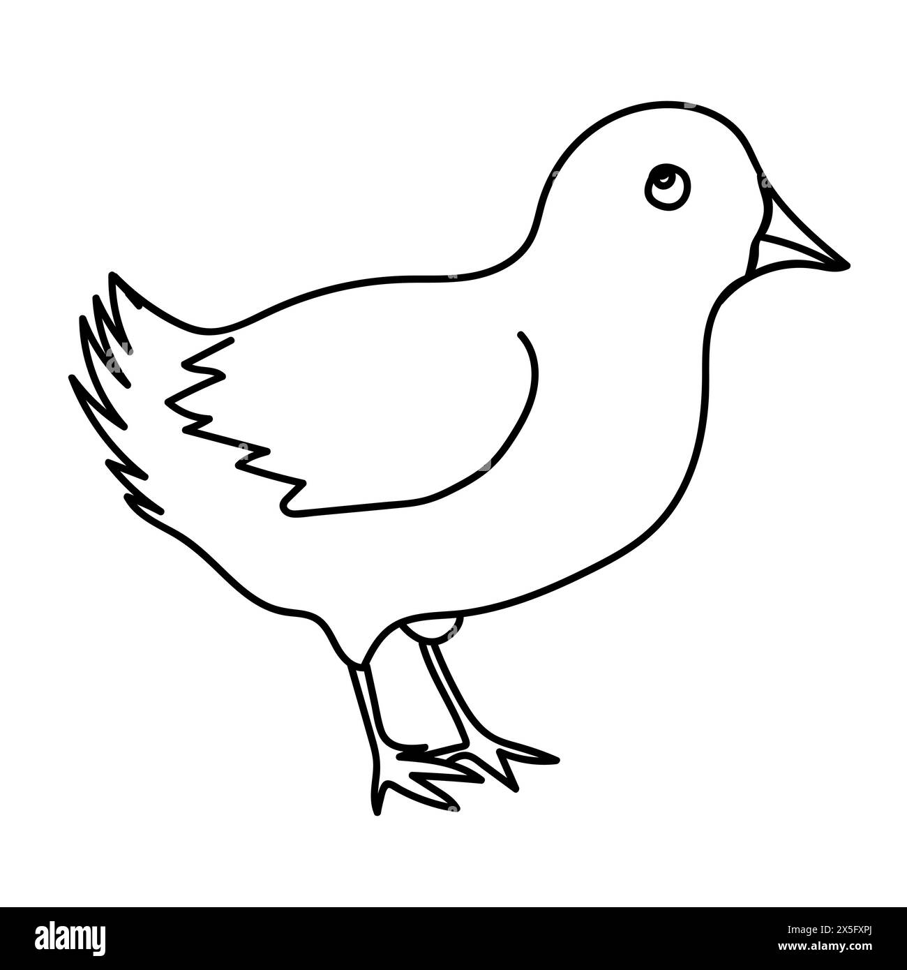 Chicken bird line drawing. Doodle vector illustration. Stock Vector