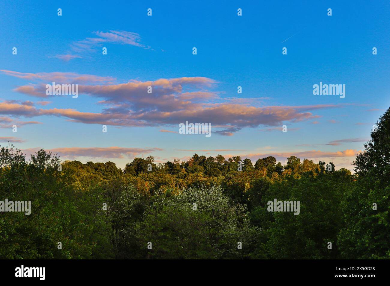 Week long hi-res stock photography and images - Alamy