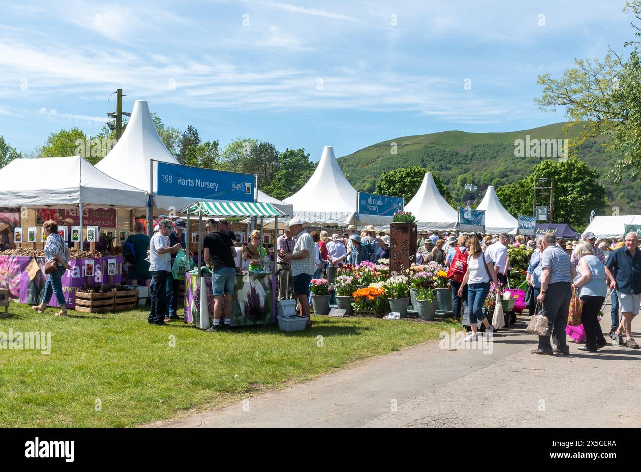 May 9th 2024. RHS Malvern Spring Festival opened today on a warm sunny day. Thousands of visitors attended the annual flower show at the Three Counties Showground in Malvern, Worcestershire, England, UK. The event is held over 4 days, ending on the 12th May 2024. Stock Photo
