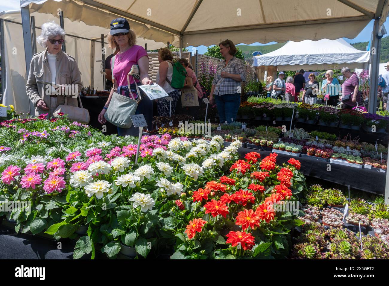 May 9th 2024. RHS Malvern Spring Festival opened today on a warm sunny