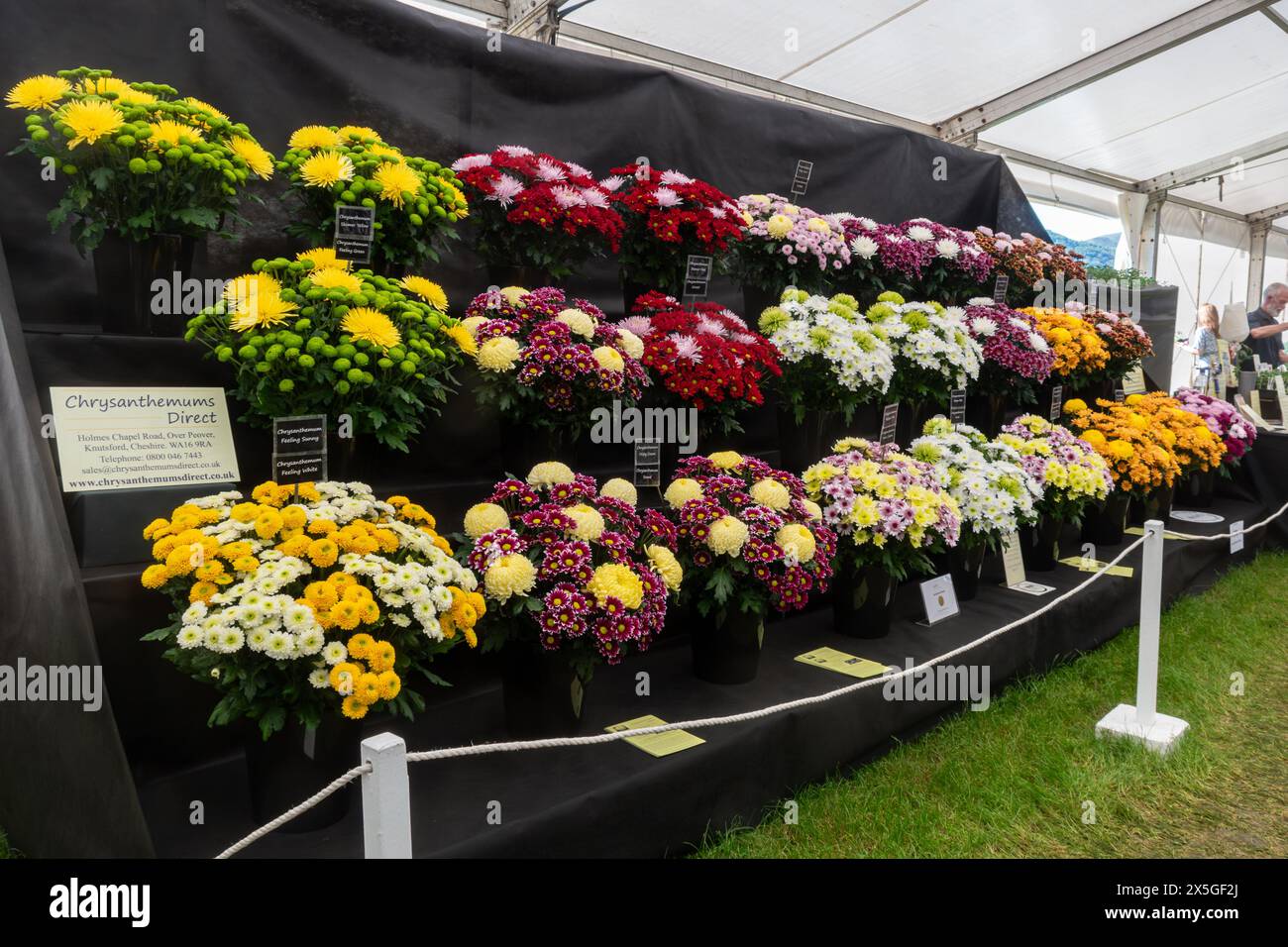 May 9th 2024. RHS Malvern Spring Festival opened today on a warm sunny day. Thousands of visitors attended the annual flower show at the Three Counties Showground in Malvern, Worcestershire, England, UK. The event is held over 4 days, ending on the 12th May 2024. Stock Photo