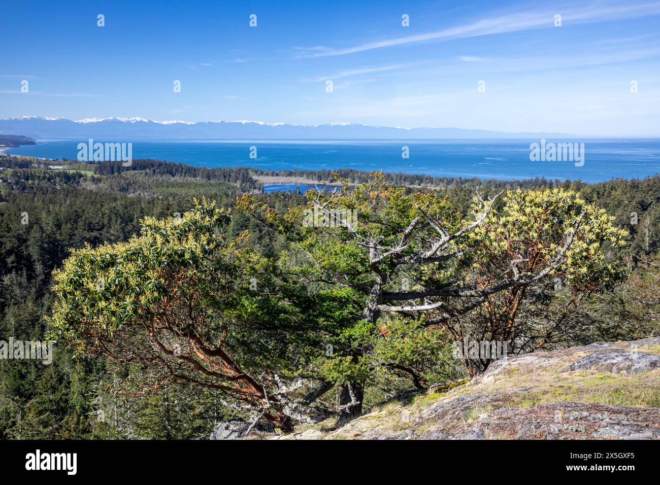 WA25208 00 WASHINGTON View - Wa25208 00washington View West From The Summit Of Goose Rock Part Of Deception Pass State Park 2X5GXF5 