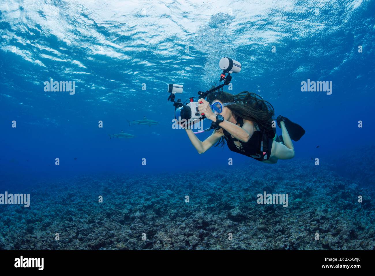 An underwater photographer (MR) takes aim at reef sharks off the island