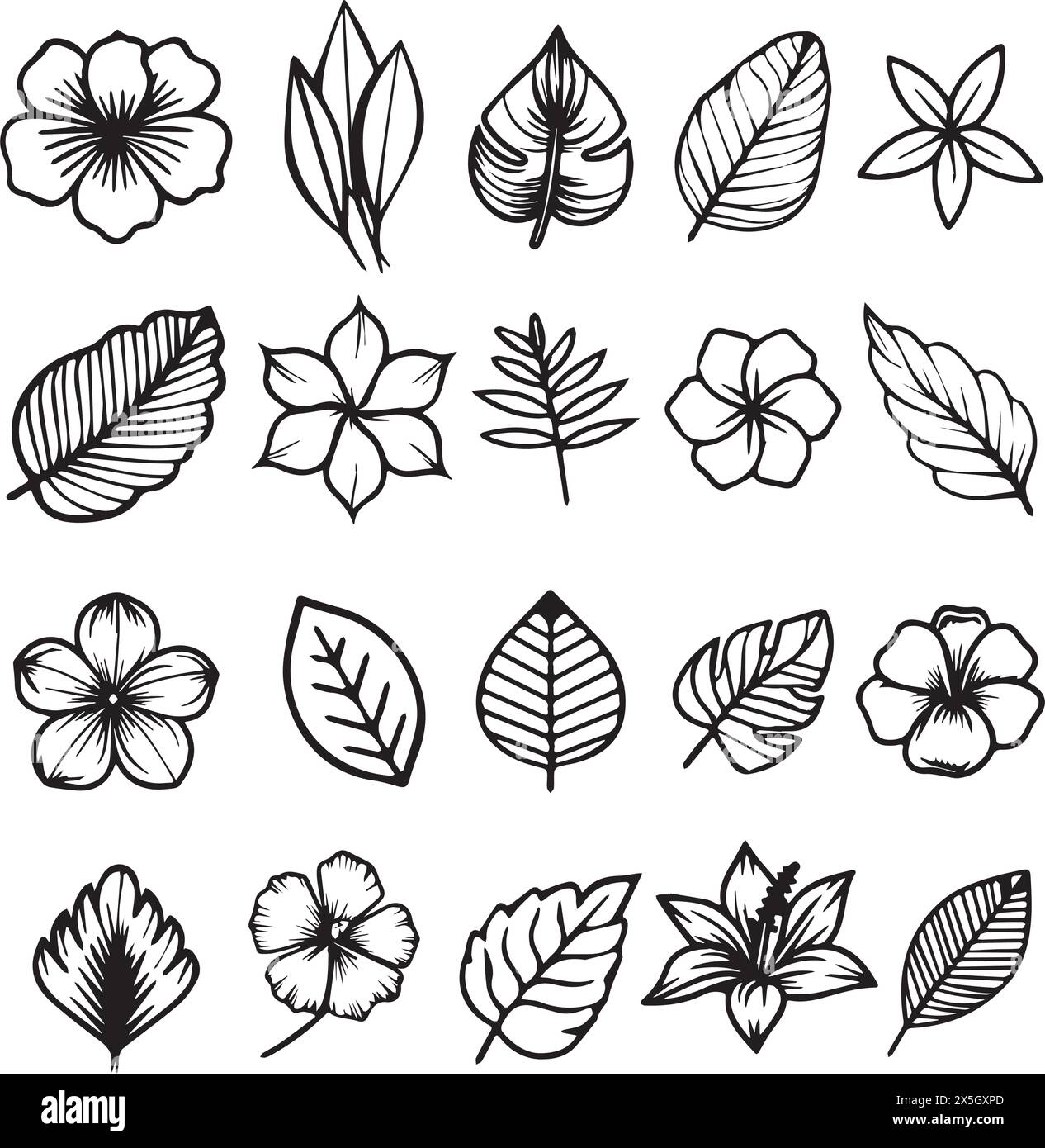 Hand Drawn Botanical Elements Set Stock Vector Image & Art - Alamy