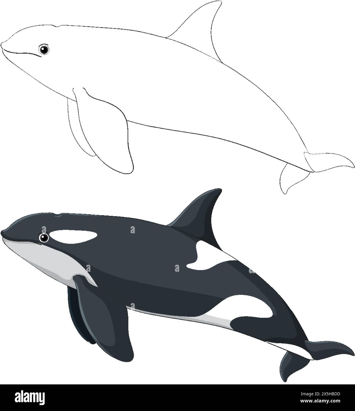 Simple vector art of a beluga and orca whale. Stock Vector