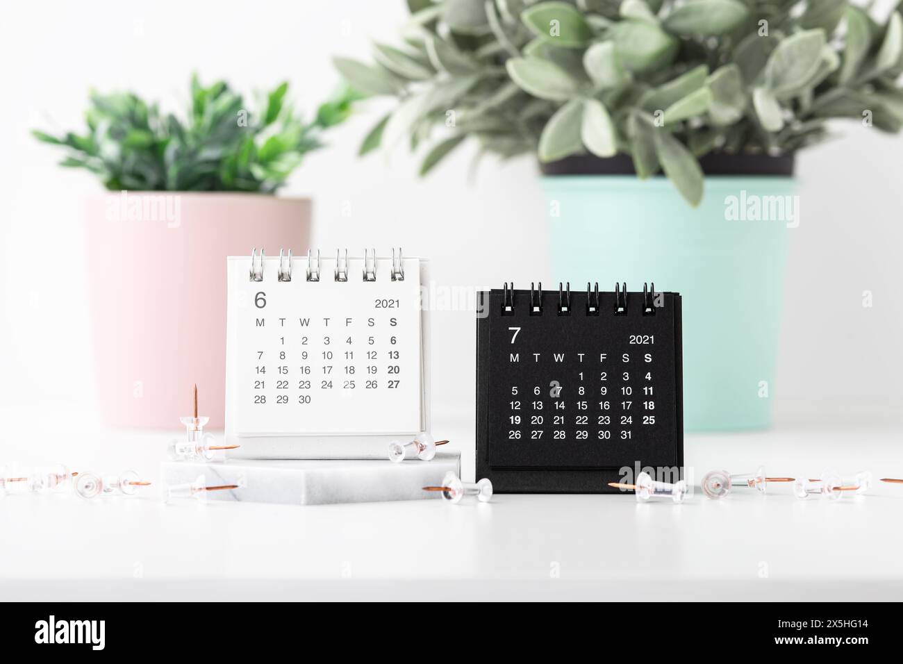 White and black calendars with pins and plant in pastel pots on white