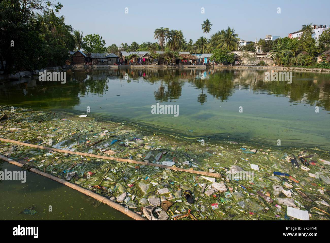 Bangladesh, Khulna, Sonadanga. Sewage gathers on the edges of a pond in Bangladesh. Stock Photo