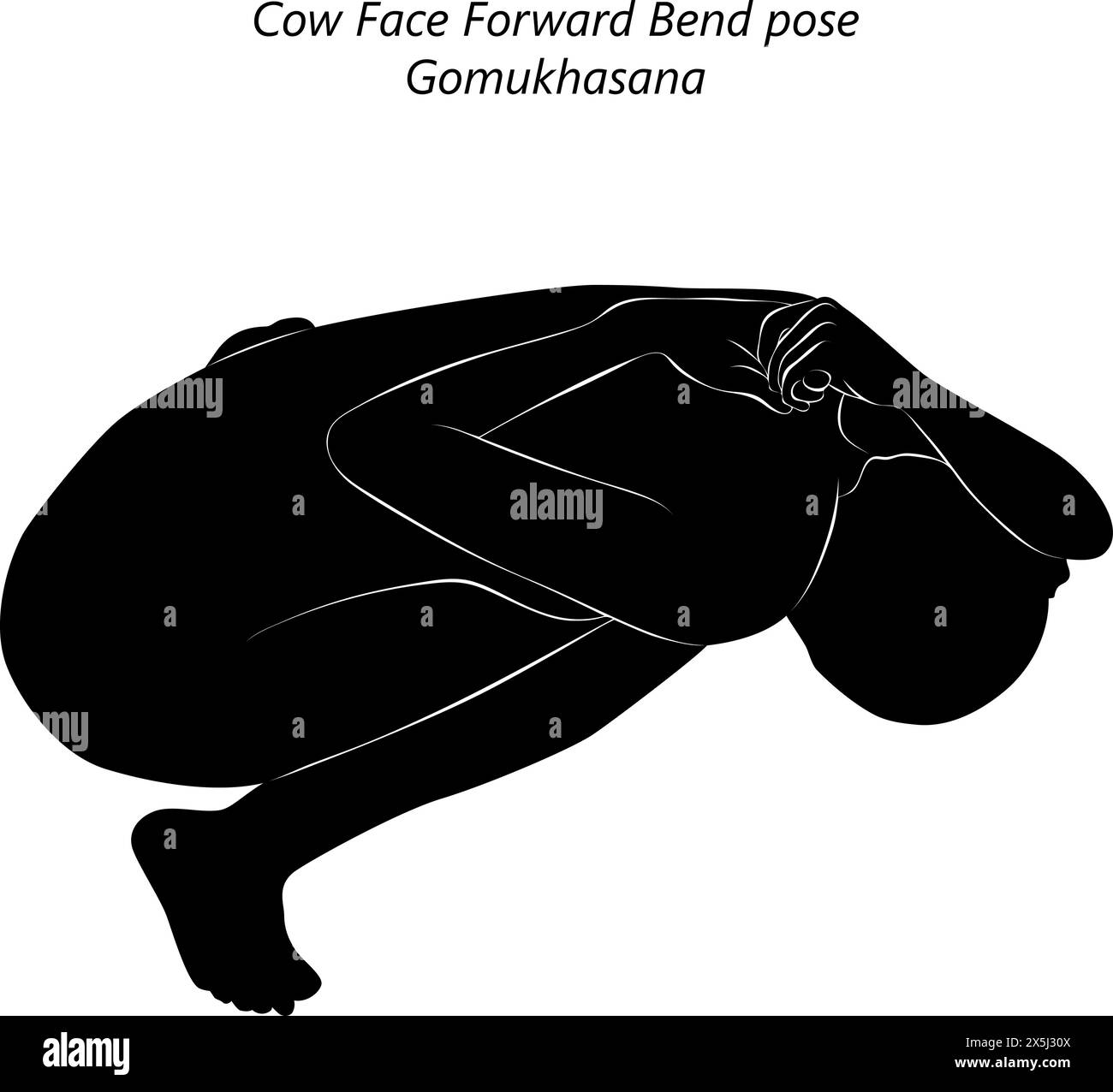 Silhouette of young woman practicing Gomukhasana yoga pose.Cow Face