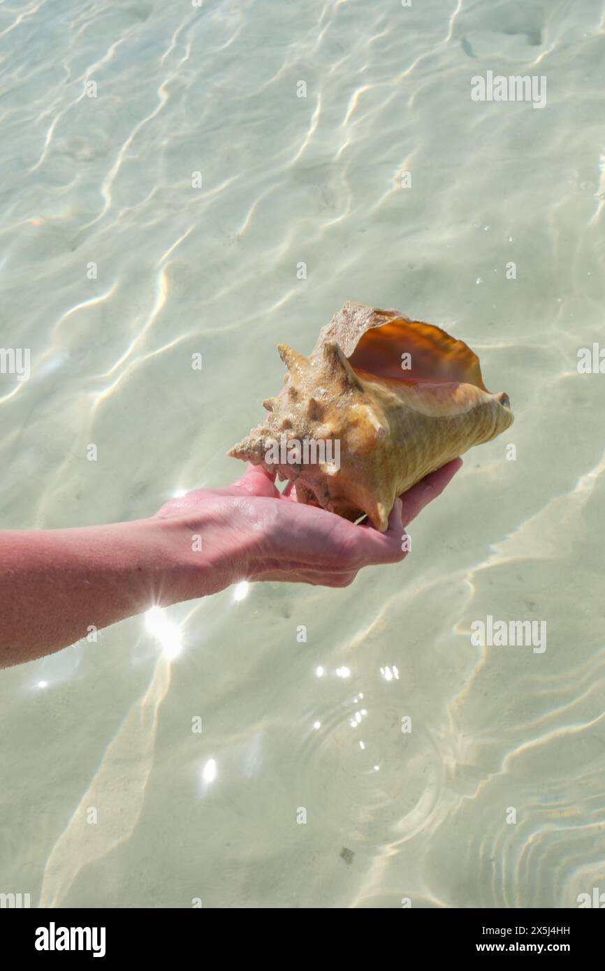 Providenciales discovery bay hi-res stock photography and images - Alamy