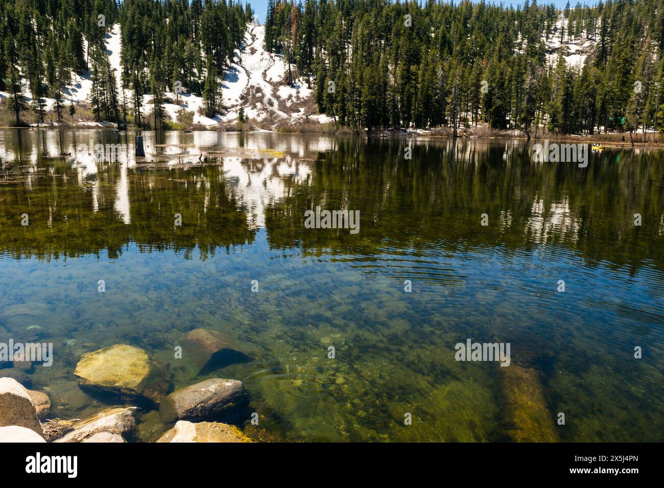 Clear alpine lake reflecting snow-capped trees under sunny skies Stock ...
