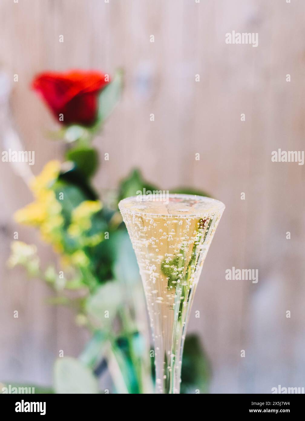 A red rose accompanied by a glass of champagne Stock Photo