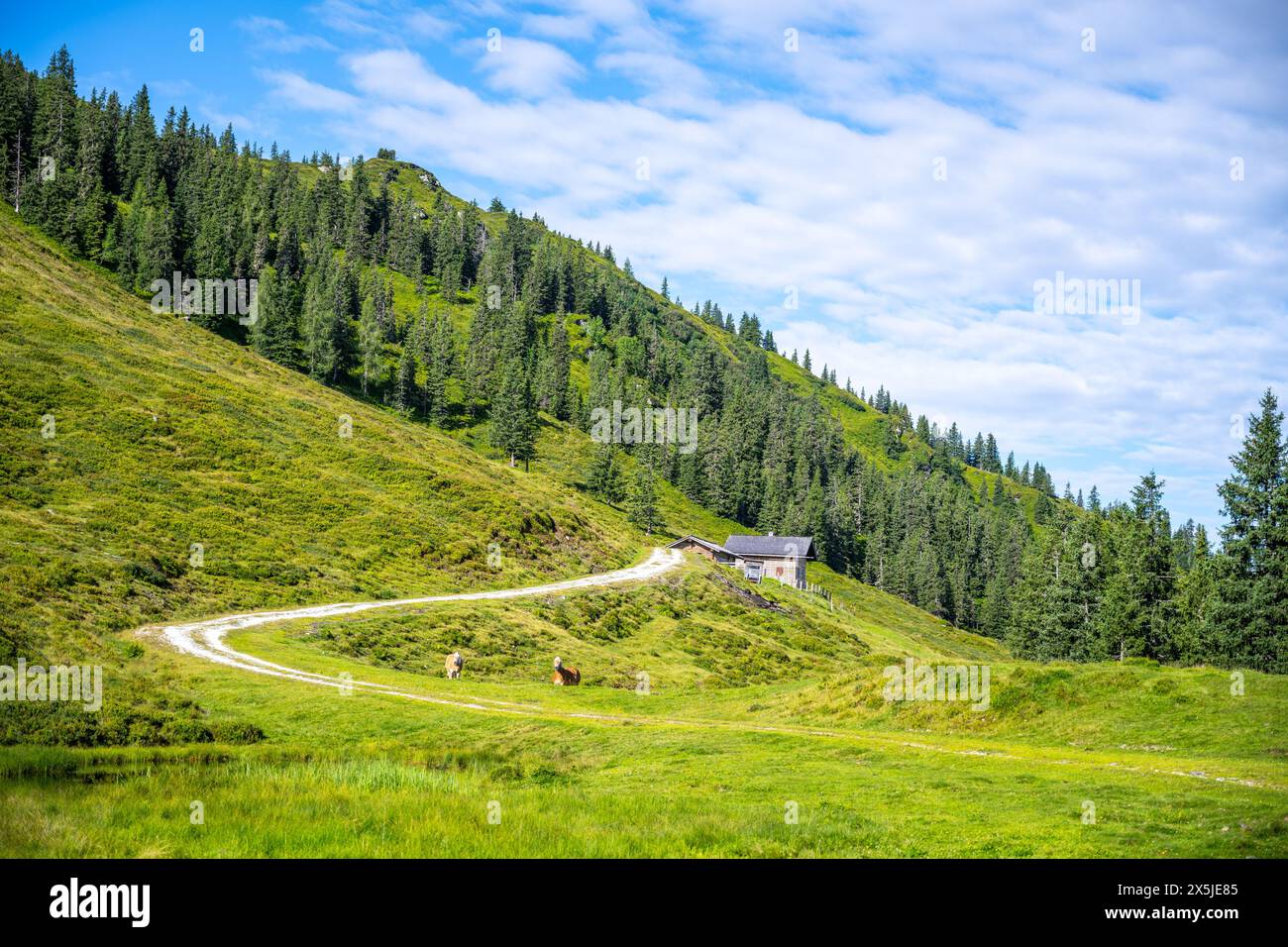 Winding road through lush green hills under a blue sky with wispy ...