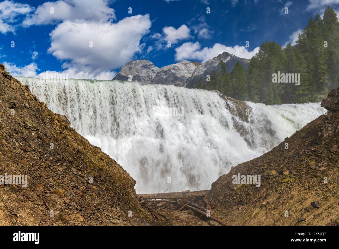 Canada, British Columbia, Yoho National Park. Wapta Falls in Kicking Horse River. Stock Photo