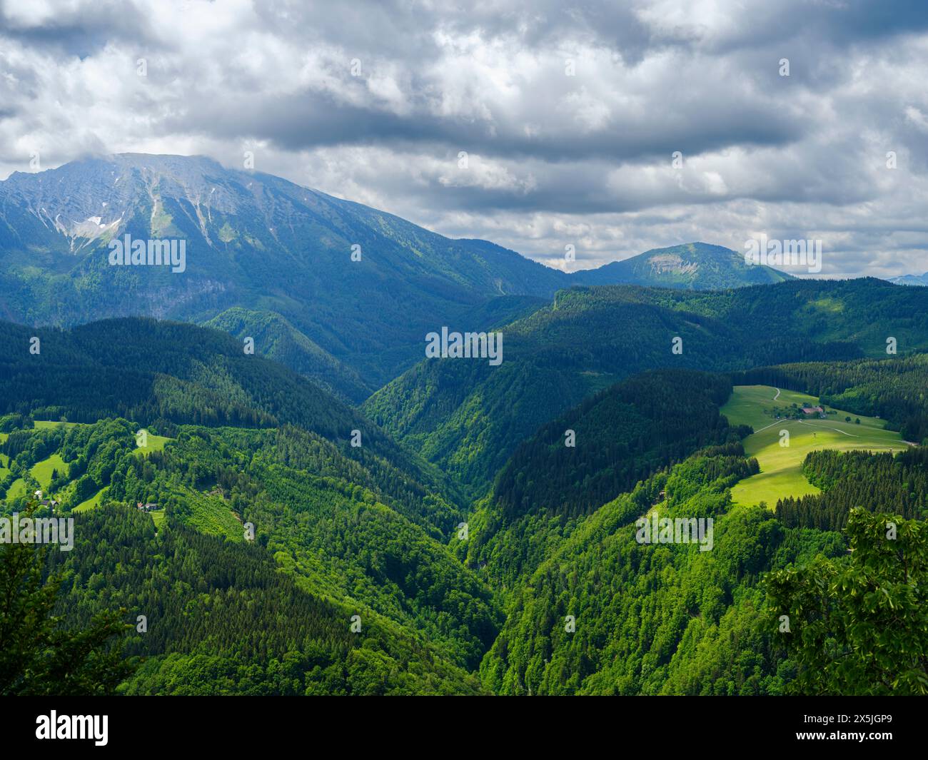 Mt. Otscher (1893m), Nature Park Otscher-Tormaeuer in the Alps of Lower Austria. Stock Photo