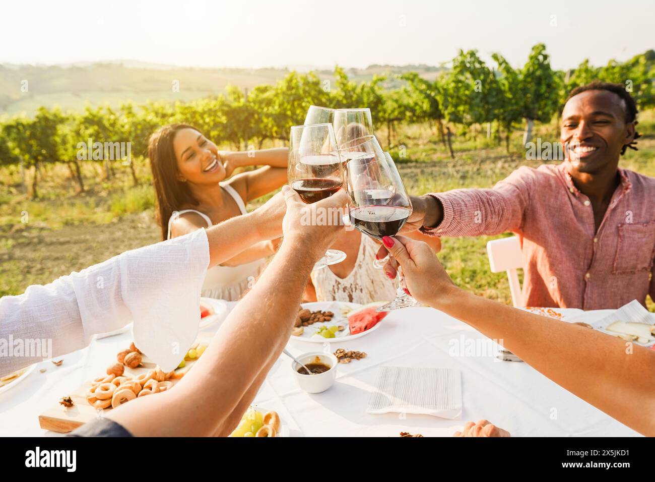 Happy adult friends having fun drinking red wine and eating together with vineyard in background - Multiracial people doing appetizer at summer time i Stock Photo