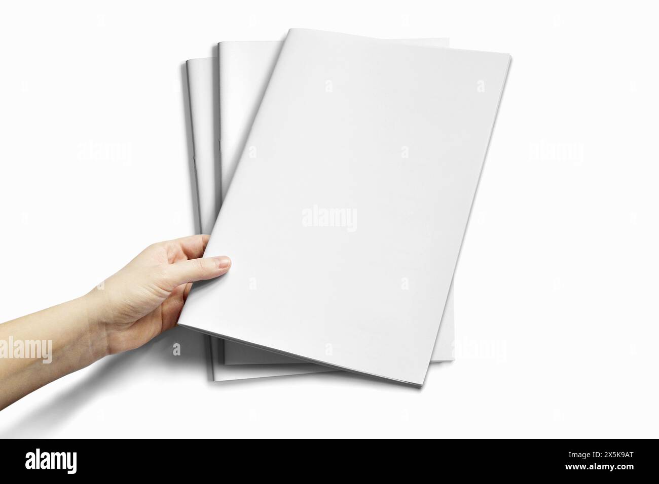Hand Holding Vertical A4 Brochure Mockup Stock Photo - Alamy