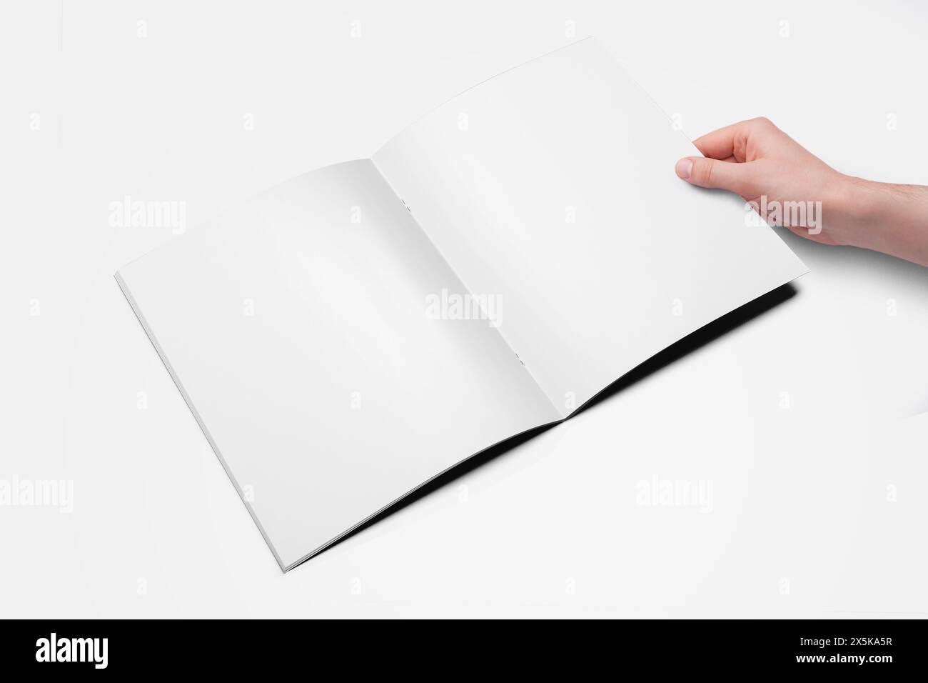 Hand Holding Vertical A4 Brochure Mockup Stock Photo - Alamy