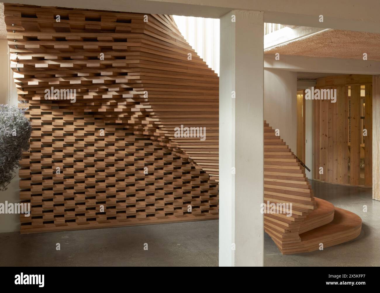 Sculptural curvaceous timber staircase. ACME Offices, London, United Kingdom. Architect: ACME, 2024. Stock Photo