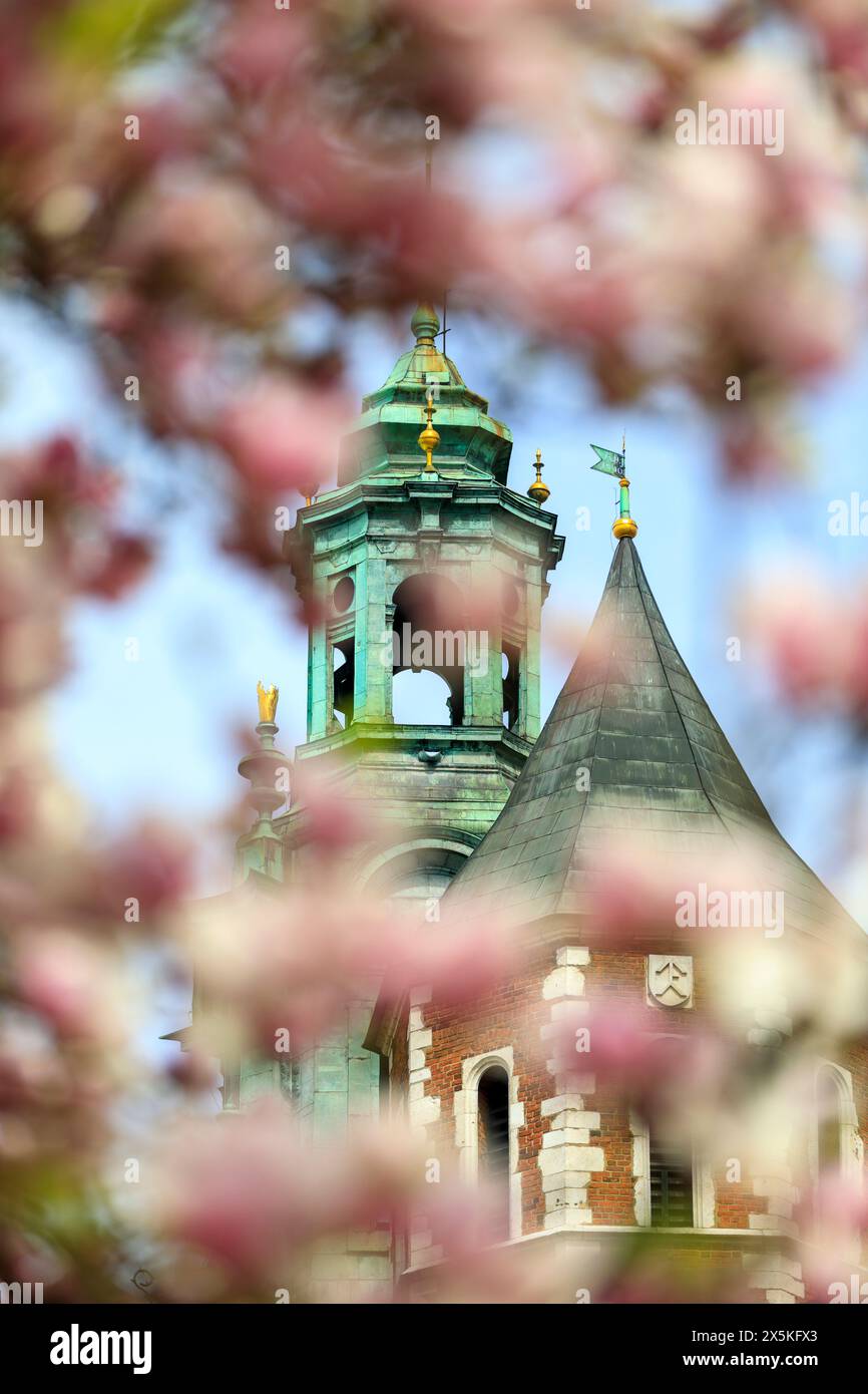 Poland, Krakow. The Wawel Castle. Structures representing medieval, renaissance and baroque periods. UNESCO World Heritage Site. Stock Photo