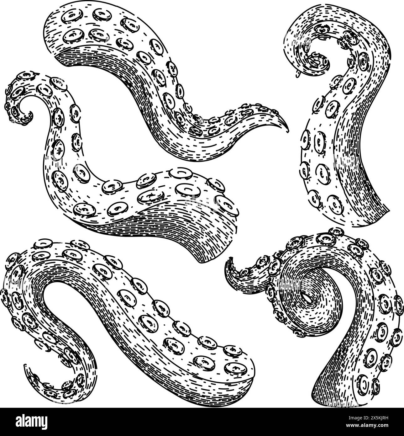 octopus kraken tentacle set sketch hand drawn vector Stock Vector Image ...