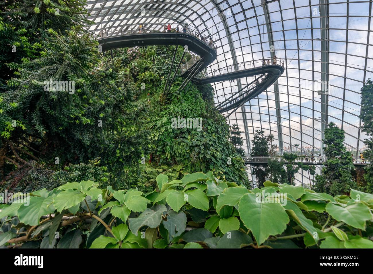 Gardens by the Bay, Singapore, glass roof and walls, elevated walkways and tropical plants in the indoor gardens. Stock Photo