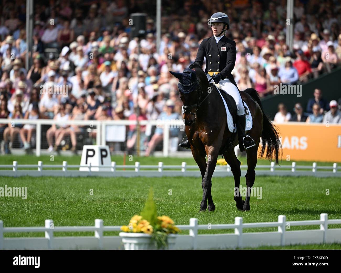 Badminton Estate, Gloucestershire, UK. 10th May, 2024. 2024 MARS Badminton Horse Trials Day 3; Felicity Collins (GBR) riding RSH CONTEND OR During the Dressage on Day 3 Credit: Action Plus Sports/Alamy Live News Stock Photo
