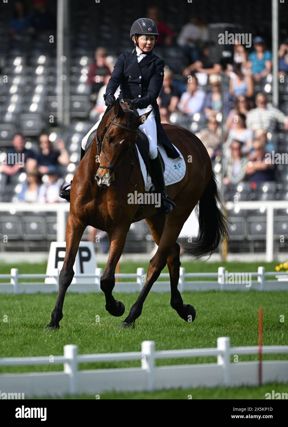 Badminton Estate, Gloucestershire, UK. 10th May, 2024. 2024 MARS Badminton Horse Trials Day 3; Louise Harwood (GBR) riding NATIVE SPIRIT During the Dressage on Day 3 Credit: Action Plus Sports/Alamy Live News Stock Photo