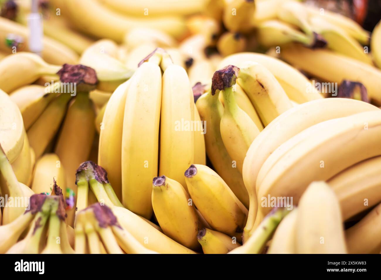 Closeup hand green bananas hi-res stock photography and images - Alamy