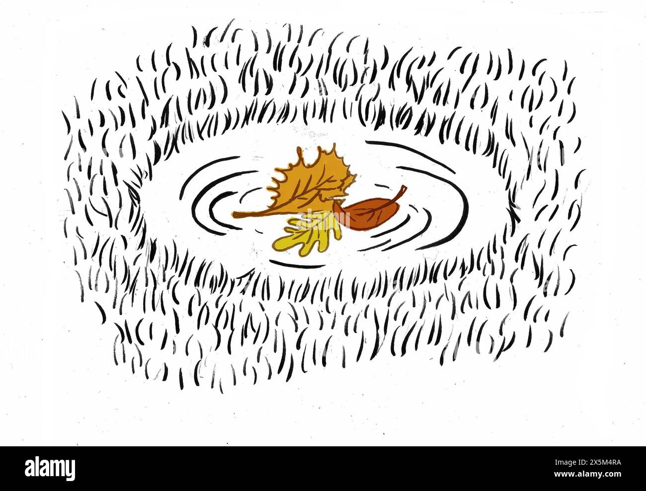 autumn-leaves-on-small-pond-surface-illustration-stock-photo-alamy