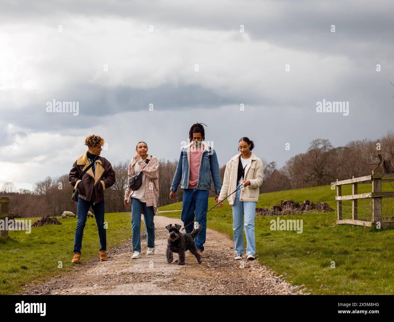 Group of young friends with dog in countryside Stock Photo - Alamy