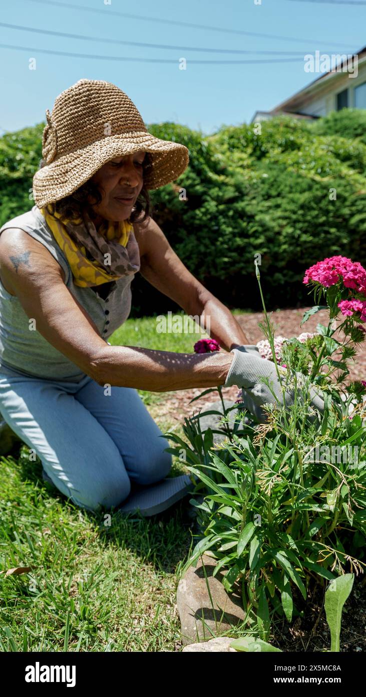 Senior woman gardening Stock Photo - Alamy