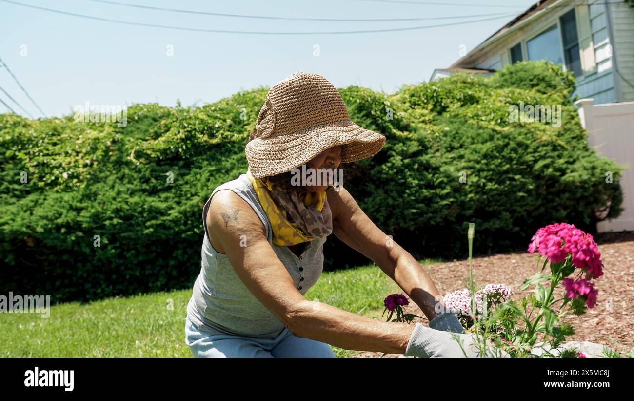 Senior woman gardening Stock Photo - Alamy