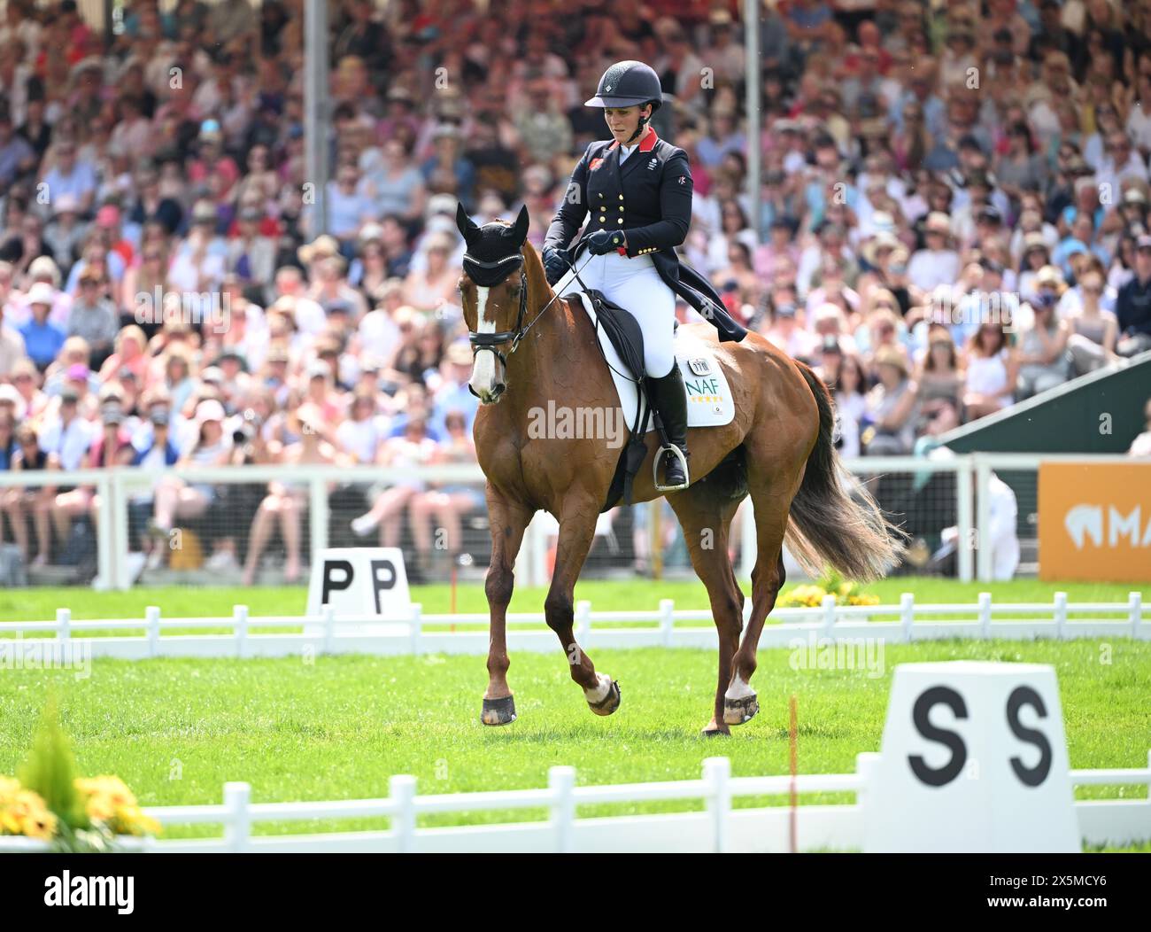 Badminton Estate, Gloucestershire, UK. 10th May, 2024. 2024 MARS Badminton Horse Trials Day 3; Gemma Stevens (GBR) riding CHILLI KNIGHT During the Dressage on Day 3 Credit: Action Plus Sports/Alamy Live News Stock Photo