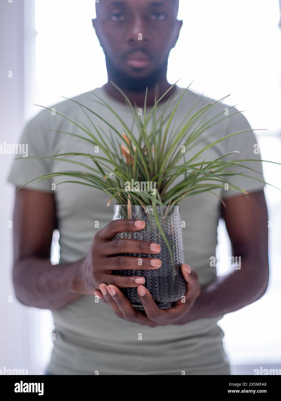Portrait of person holding potted plant Stock Photo - Alamy