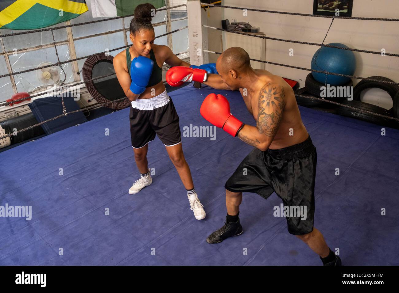 Woman and man fighting in boxing ring Stock Photo - Alamy