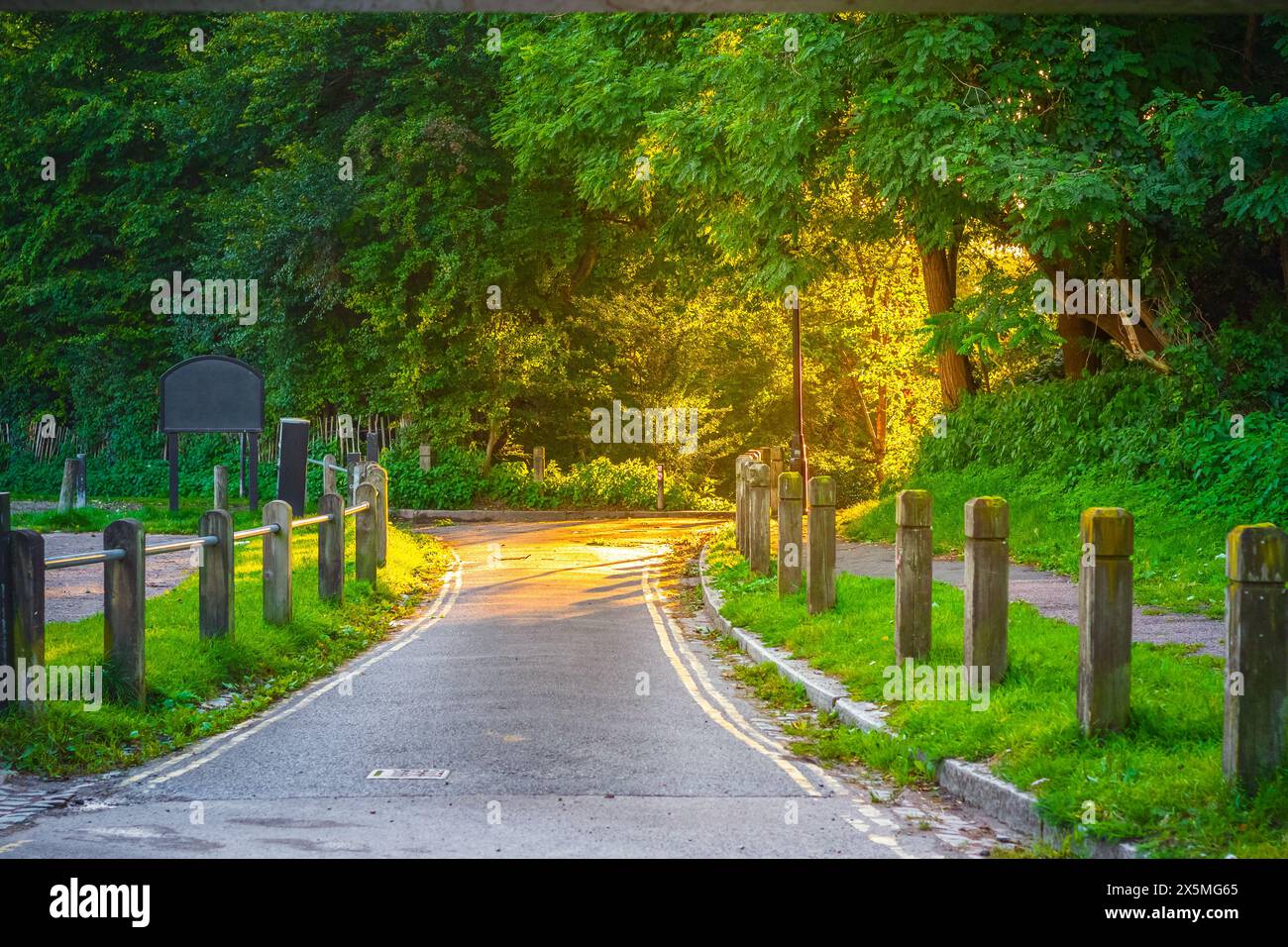 Heath brow entry to the Hempstead Heath with backlit sunlight in London Stock Photo