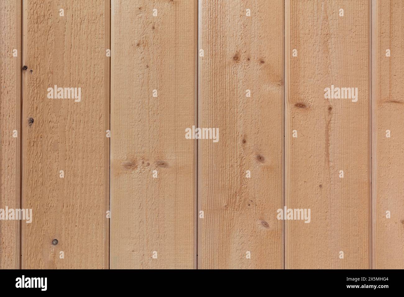 Detail of pine wood panel wall Stock Photo