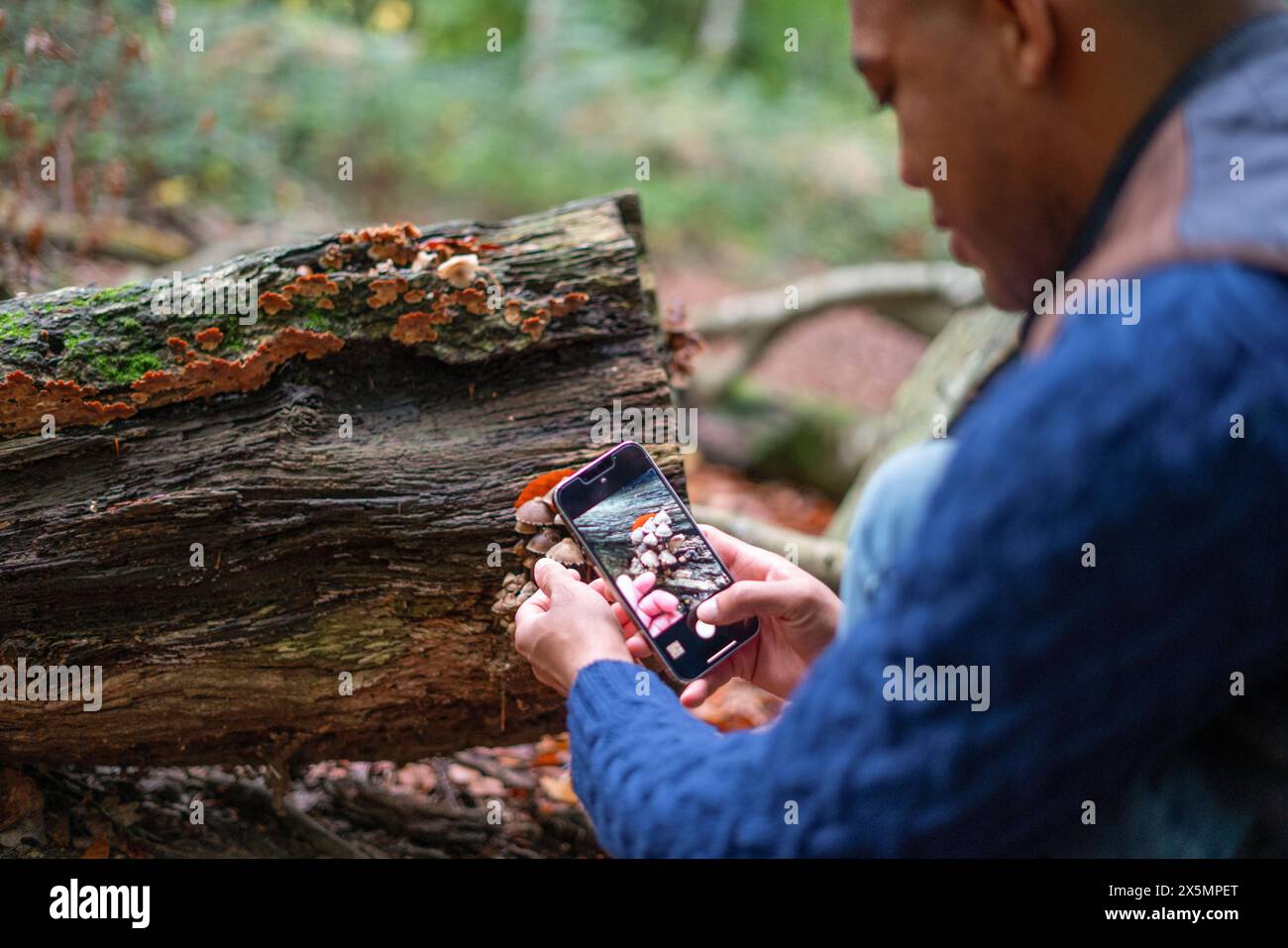 Man taking picture of small mushroom growing on log in forest Stock Photo