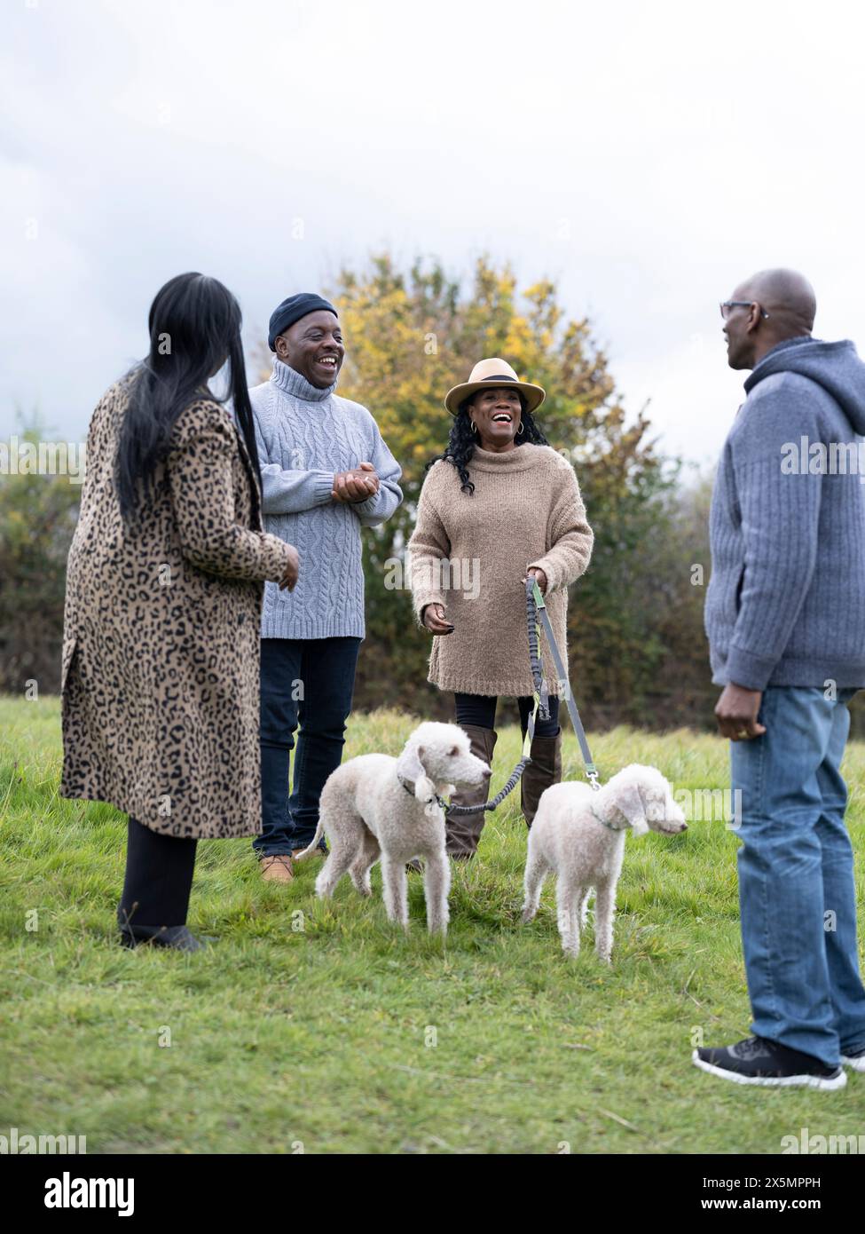 Two senior couples with dogs talking in nature Stock Photo - Alamy