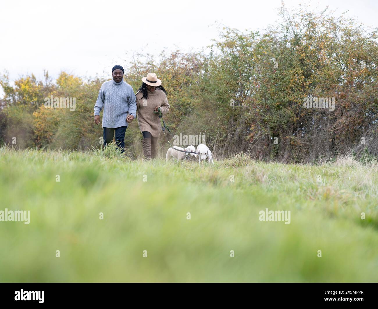 Couple walking with dogs in meadow Stock Photo